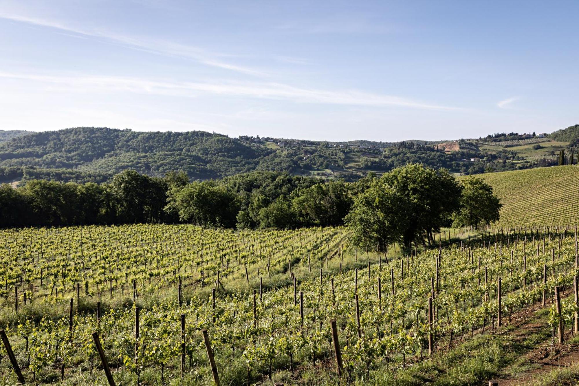 Pieve Aldina Relais & Chateaux Radda in Chianti Exterior photo